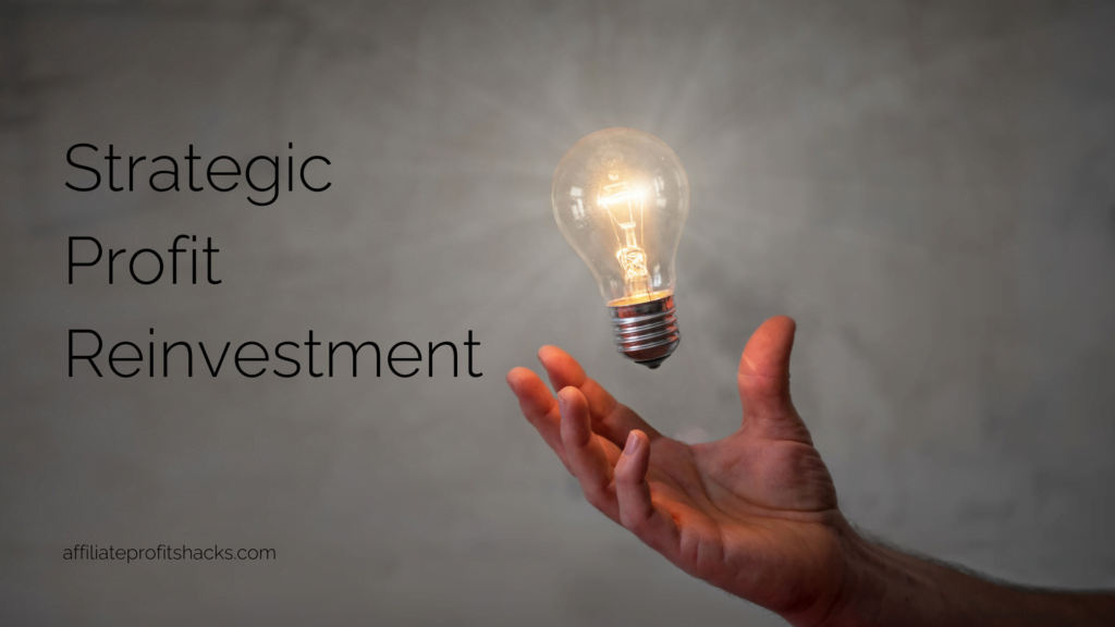 A hand is shown with an illuminated light bulb floating above it against a textured gray background. The words "Strategic Profit Reinvestment" appear prominently above, and the URL "affiliateprofitshacks.com" is at the bottom.